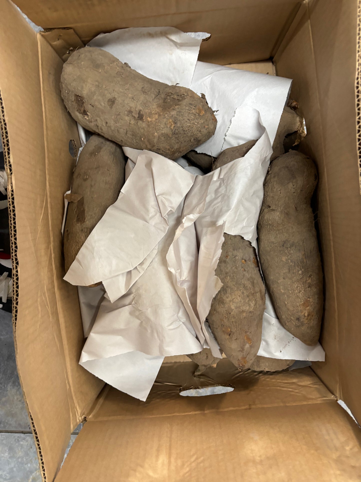 Puna Yam (Brown Box)