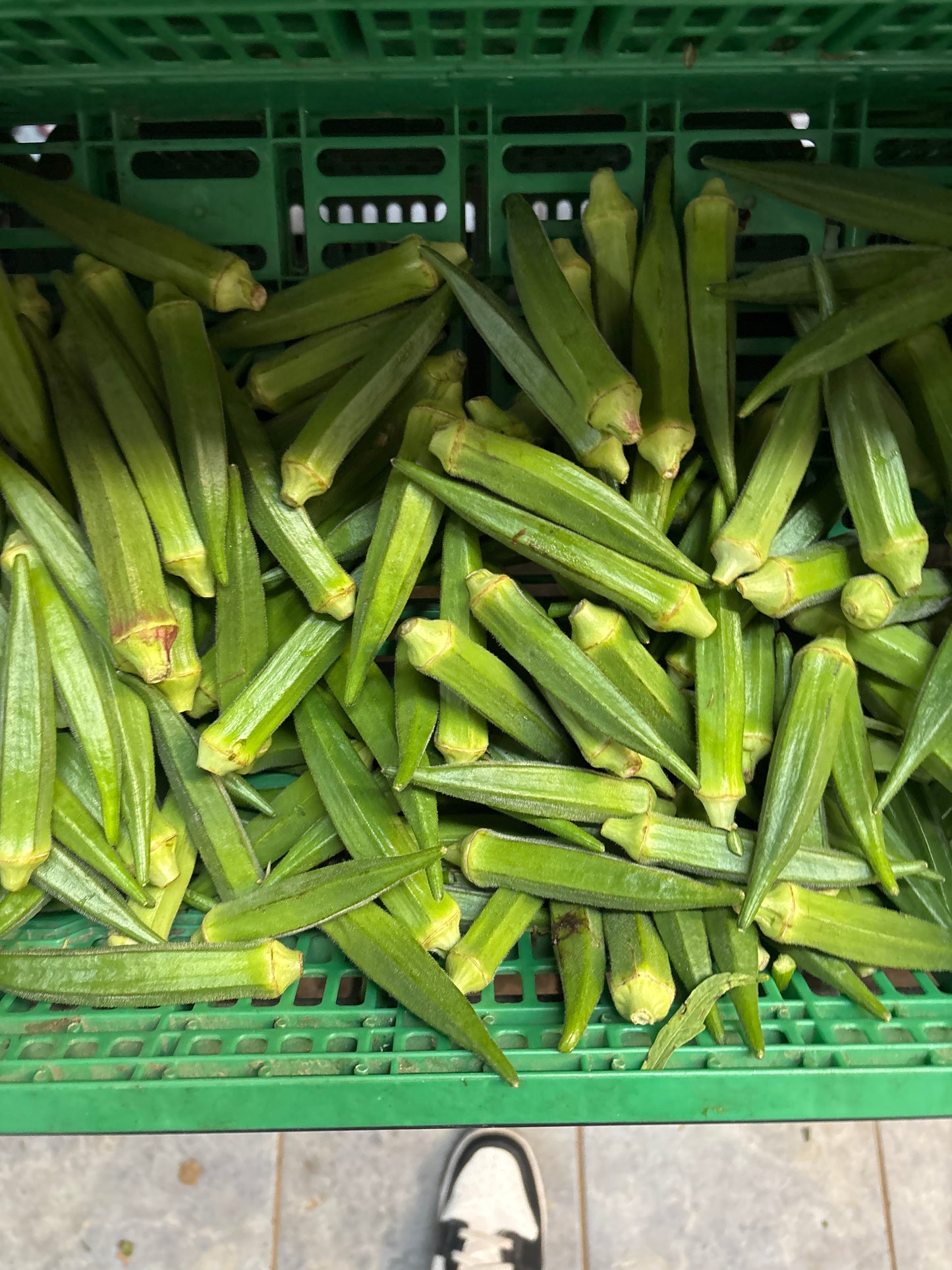 Okro